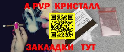 стаф Новозыбков