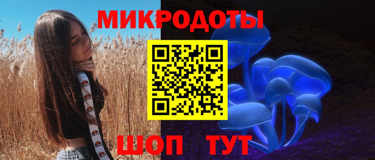 Галлюциногенные грибы Psilocybine cubensis Новороссийск