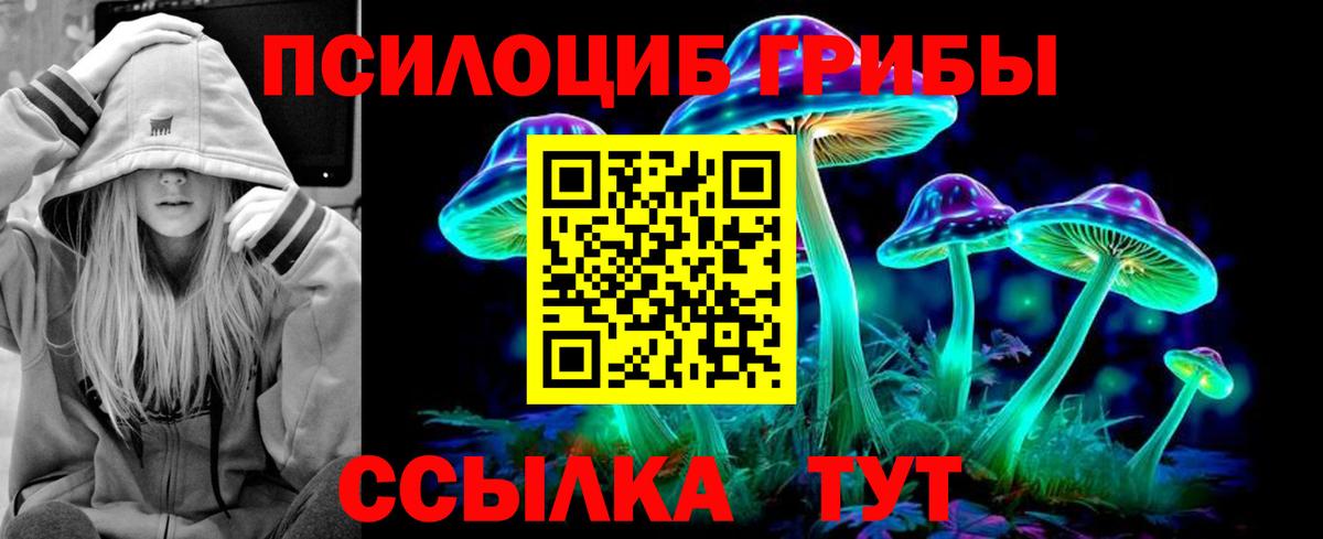 Галлюциногенные грибы мухоморы  Галлюциногенные грибы мицелий  Вход с VPN  Новороссийск 