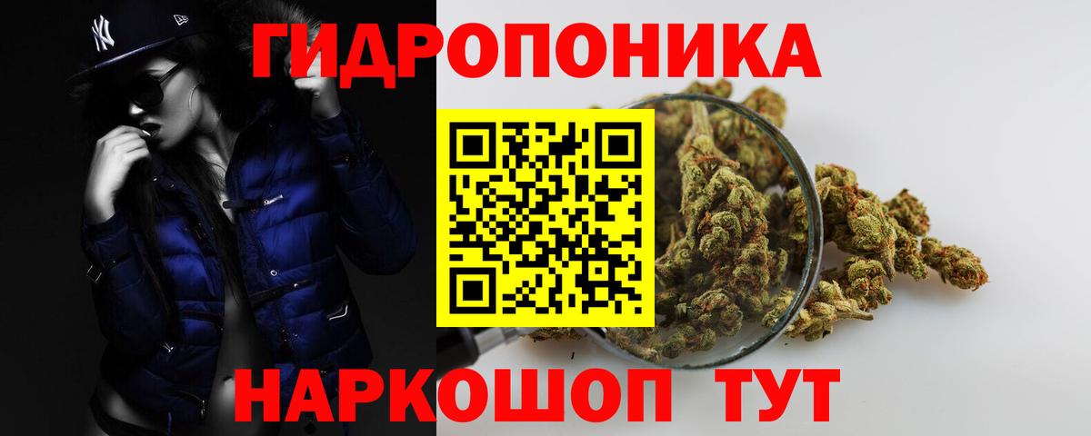 Бошки Шишки конопля  Вход с VPN  Бошки Шишки Ganja  Новороссийск  Каннабис LSD WEED 