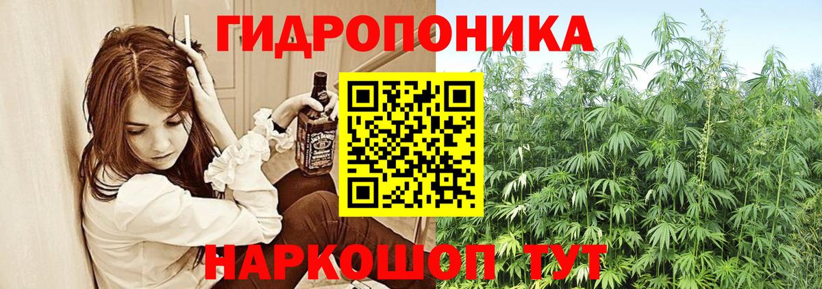 Шишки марихуана Bruce Banner Новороссийск
